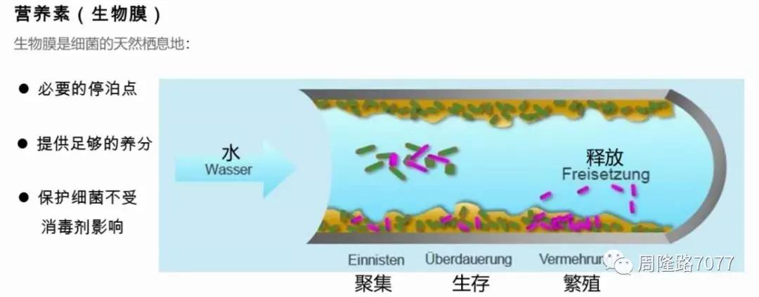 郴州市維達(dá)金屬設(shè)備廠,不銹鋼制管機,不銹鋼工業(yè)管制管機,汽車排氣管制管機,不銹鋼飲用水管制管機,熱交換管制管機,精密焊管制管機,